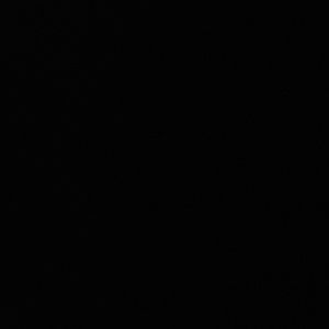 Meet your Posher, Jake